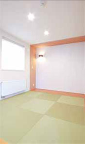 琉球畳　和室